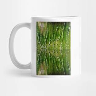 Fountain Reflections Mug